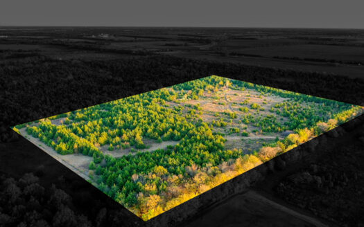 Lamar County Acreage for Sale Paris Tx