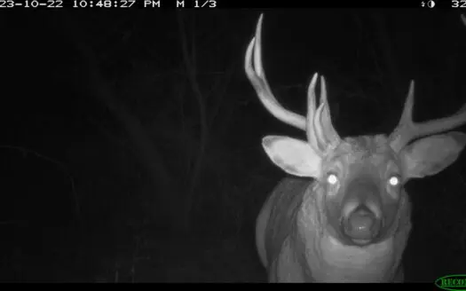 Hunting Land for Sale in Richland County, Wisconsin