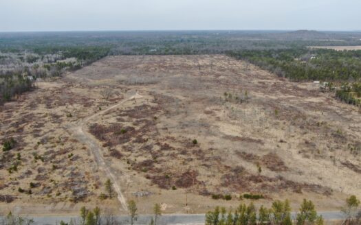 80 Acres of Juneau County Timber Land
