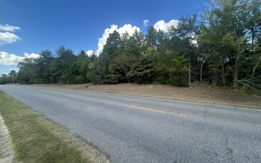 1.3-Acre Build-Ready Lot in Crown Ridge – No HOA, Utilities Ready