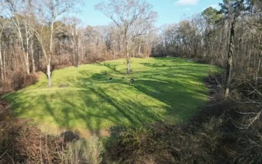 140 Acres with Farmhouse in Lorman, Mississippi
