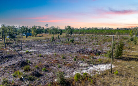 5.01 Acres for Sale in Beautiful Suwannee County, Florida