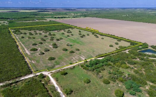 51.5 Acres Sandia, Texas in Jim Wells County