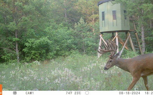 89.22-Acre Turnkey Whitetail Hunting Property in Adams County, Wi