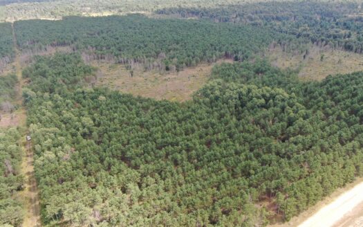 80-acre timber tract in Adams County