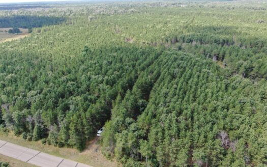80-acre timber tract in the Town of Big Flats