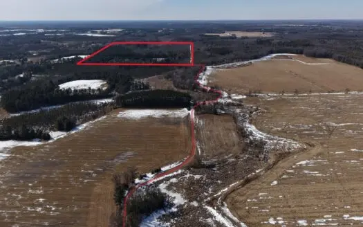 Portage County Wisconsin 80 Acres of Hunting Land for Sale
