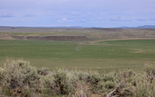 Eastern Oregon Silver Sage Farm