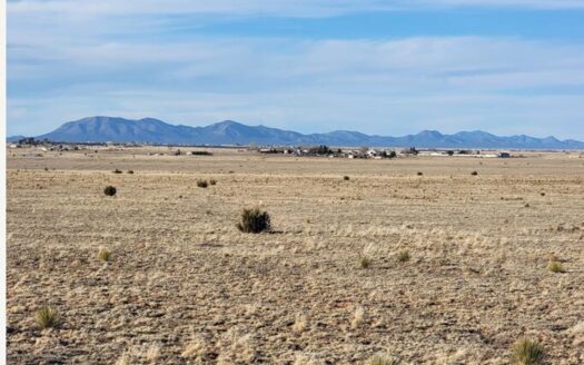 10.5 Acre Grassland Lot Near Moriarty NM with Views
