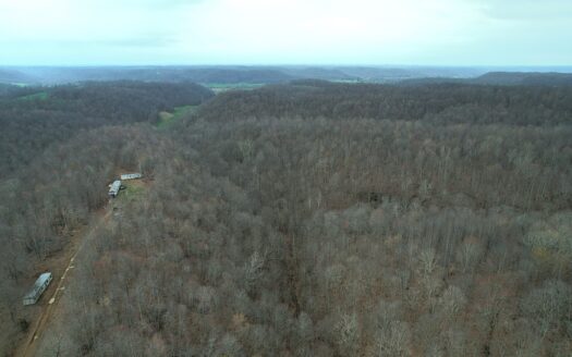 78.5+/- Wooded Acres – Great Hunting – Mobile Homes – Liberty, KY