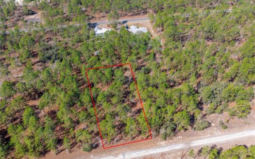 1 Acres Near Rainbow River & Juliette Falls Golf Course