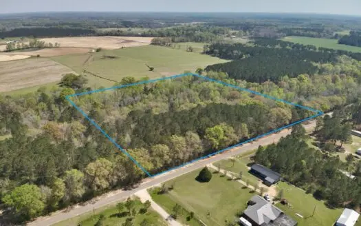 10 Acre Homesite in Houston County Alabama.
