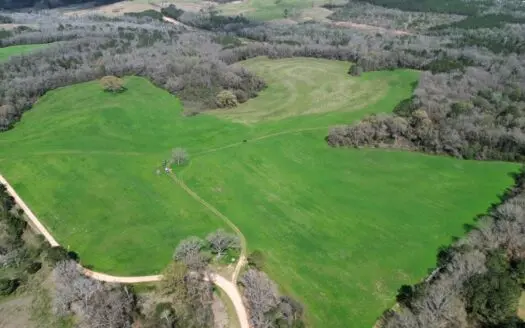240± Acres for Sale in Barbour County, Alabama
