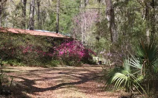 5 acres Barn Office Remodeled Home, Natural Wooded property!