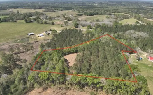 6.7 +/- Acre Homesite in Geneva County Alabama