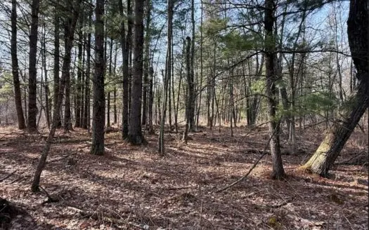 40-Acre Recreational Hunting Tract in Central Monroe County