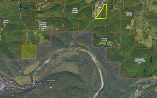Home/Acreage Near Buffalo National River
