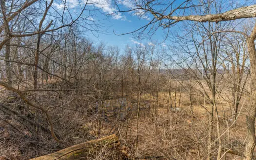 50 Acre Recreational -Hunting Land For Sale Richland County WI