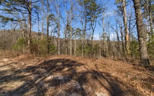 60 Acres Ozarks Land | Timber, Hunting, No Restrictions