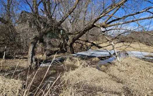 95± Acres Driftless Hunting & Recreational Land Richland County,