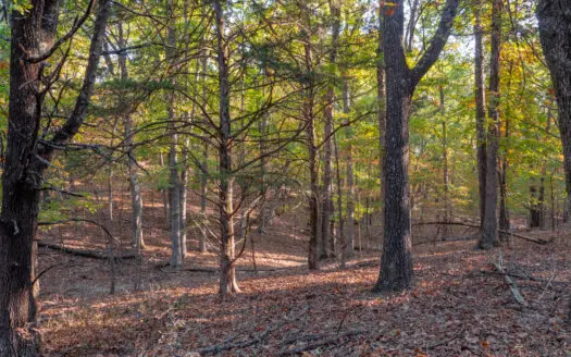 Lot 38 In Lakeshore Acres in Gated Subdivision Bull Shoals Lake