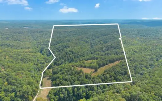 Beautiful Home in Lobelville, TN