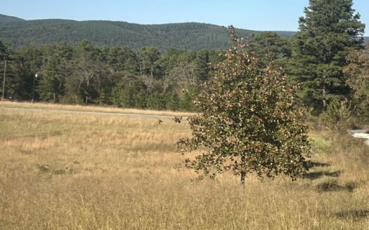 7.5 acres (MOL) Nashoba, OK Land For Sale