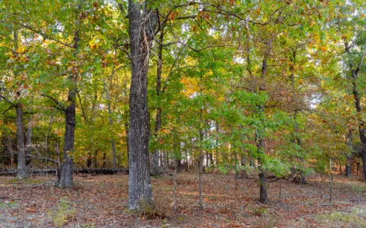 Lot 45 In Lakeshore Acres Gated Subdivision on Bull Shoals Lake