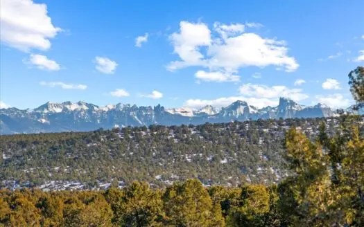 Your Chance to Build According to Your Terms in Ouray County CO