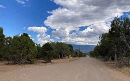 Mountain Land for Sale in Ouray County, Colorado
