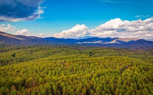 Lot For Sale at Pisgah National Forest – Collettsville NC
