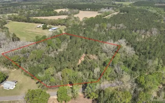 8.28 Acre Homesite in Geneva County, Alabama.