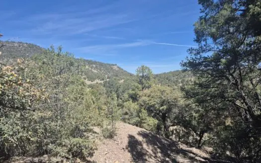 Income-Producing Retreat for Sale in Mimbres, NM