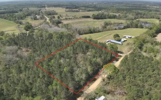 3.5 Acre Homesite in Geneva County Alabama