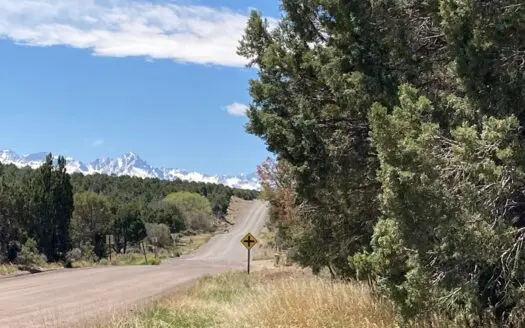 Building Parcel with Few Restrictions-Ouray County CO
