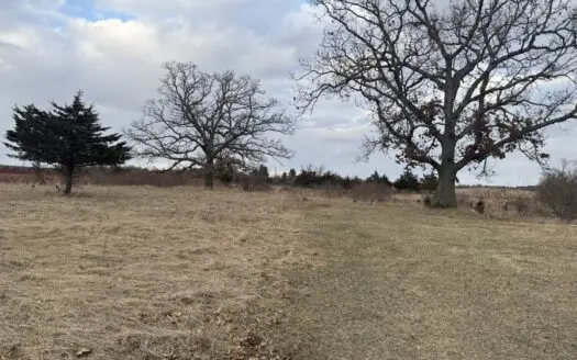 44± Acre Premier Duck and Deer Hunting Property Marquette Cty WI