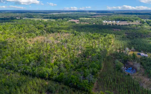 Premier 17.33-Acre Homesite & Investment Opportunity For Sale