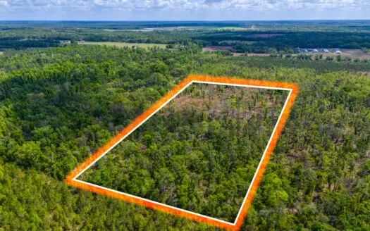 Prime 17.30-Acre Land Opportunity For Sale in Live Oak, FL