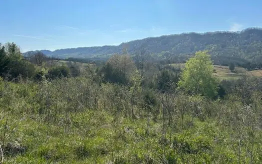 6.92 Surveyed Acres For Sale in Hancock County, Tennessee