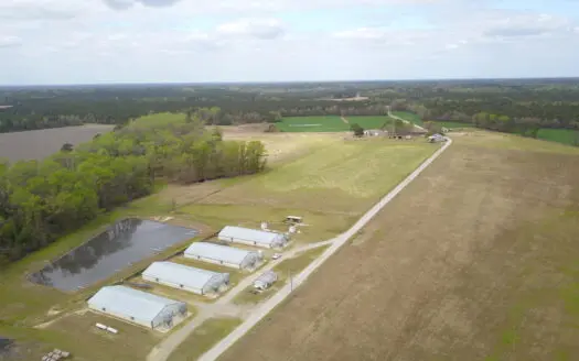 OK Farms of Cedar Creek Hog Farm and Land For Sale