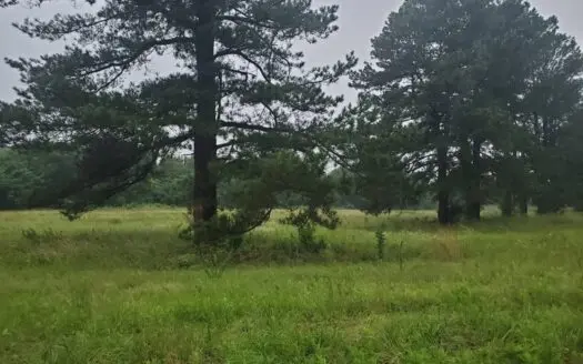 4.77 Acre Homesite In Hugo Oklahoma For Sale!!