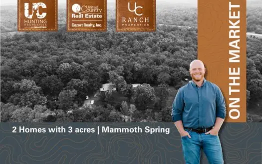 2 homes on 3 Acres | Mammoth Spring