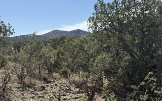 Land with Views for Sale, No HOA, 6.2 Acres