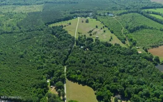 Luxury Estate on 98 Acres in Camden, AL