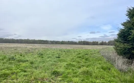 Croton Farm For Sale in Dawn-Euphemia