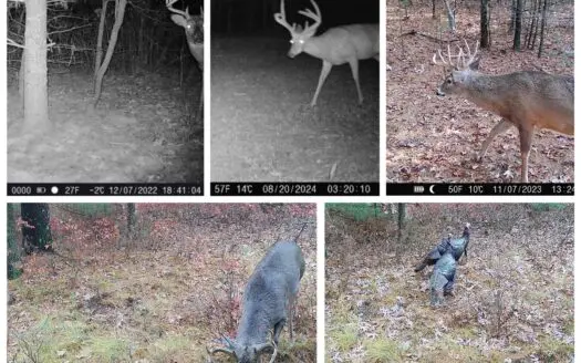 17.54-Acre Adams County, Wisconsin Buildable Land for Sale