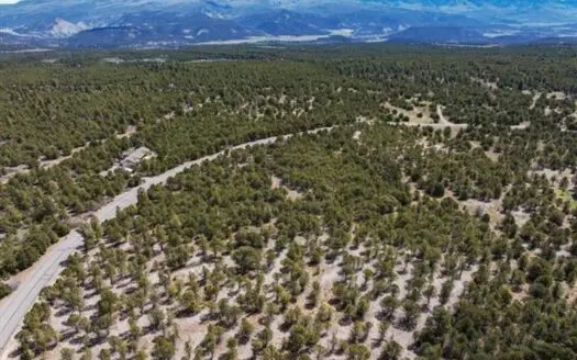 Build Your Dream in Prestigious Fisher Canyon, Ridgway, Colorado