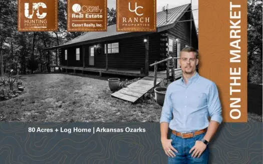 80 Acres + Log Home in Flippin, Arkansas | The Ozarks