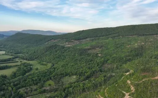 BIG ACREAGE, TRAILS, WILDLIFE! This property has it all.