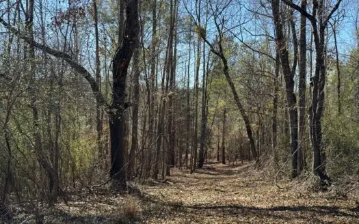 Excellent Multi Use Tract in Moundville and Convenient Location